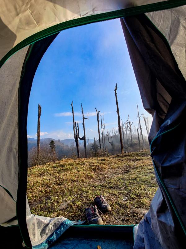 To the land of Bajre Dara